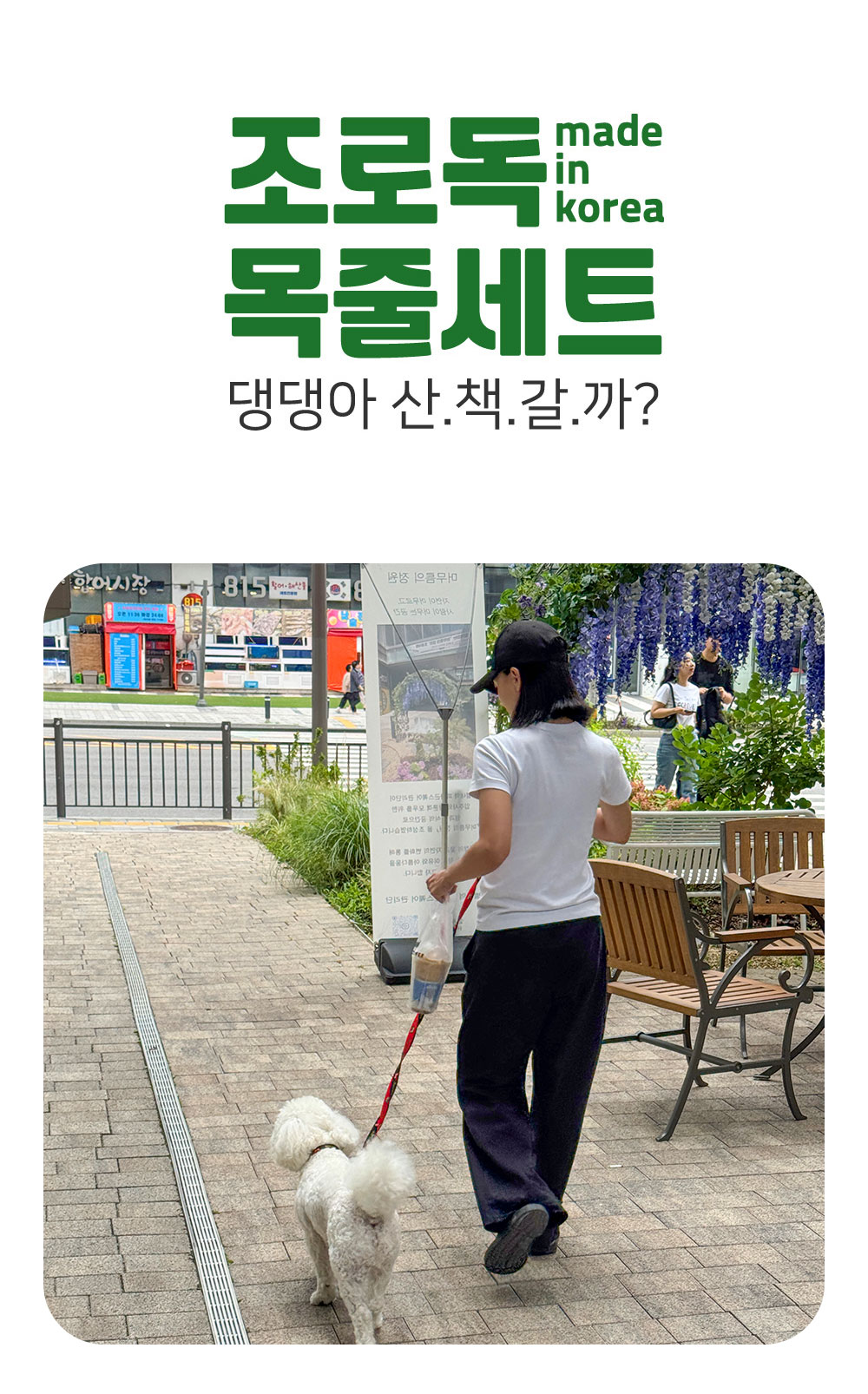YEW_조로독 하네스 목줄세트 강아지 산책줄 컬러 10mm 1개 상세 이미지 1