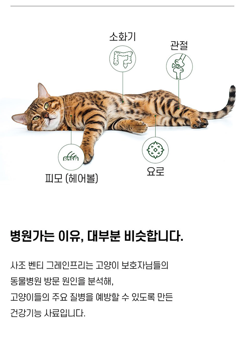YEW_벤티 고양이사료 그레인프리 요로 케어 1.5kg GA-22957 상세 이미지 2