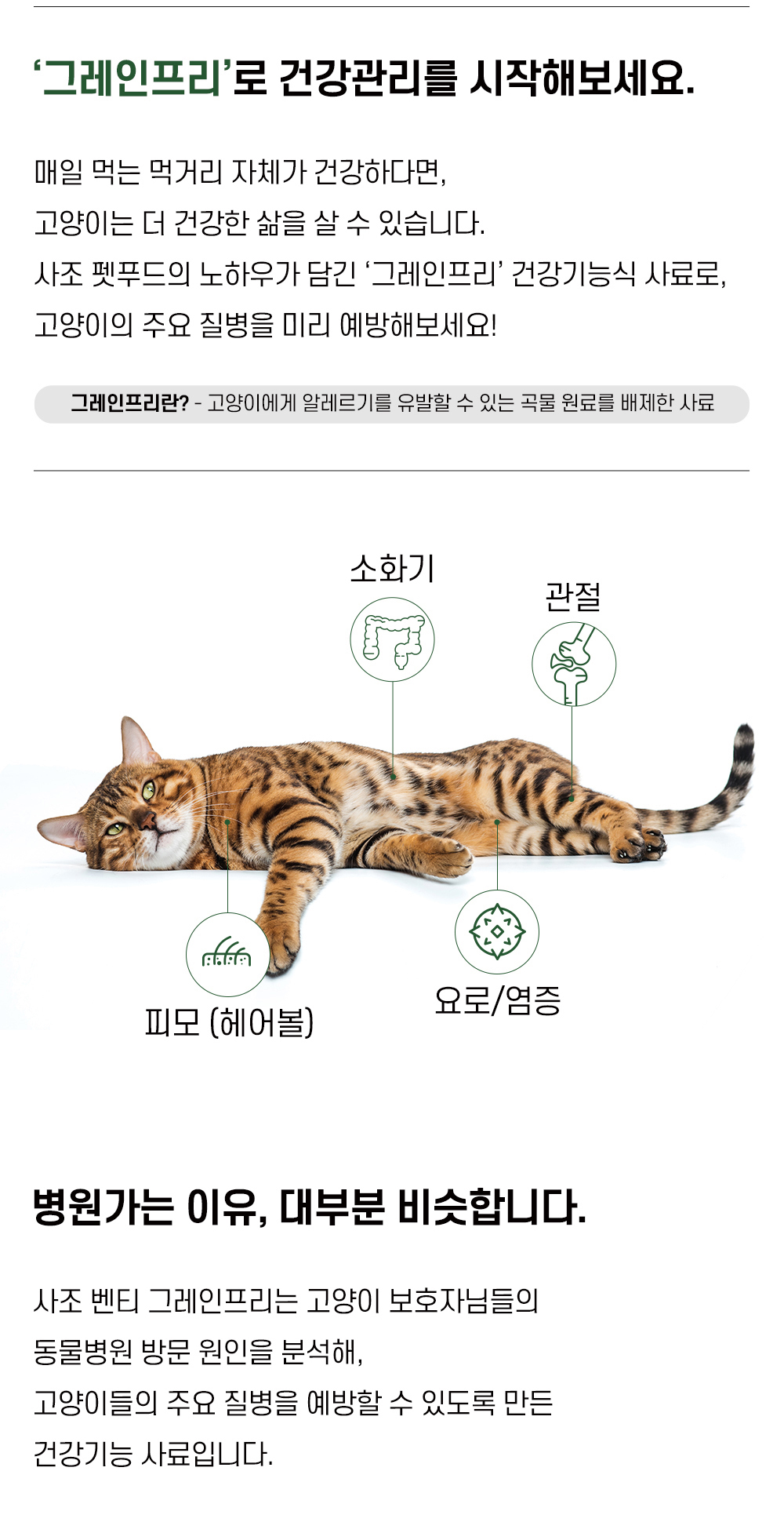 GA-22956 YEW_벤티 고양이사료 그레인프리 피부 관절케어 5kg 상세 이미지 2
