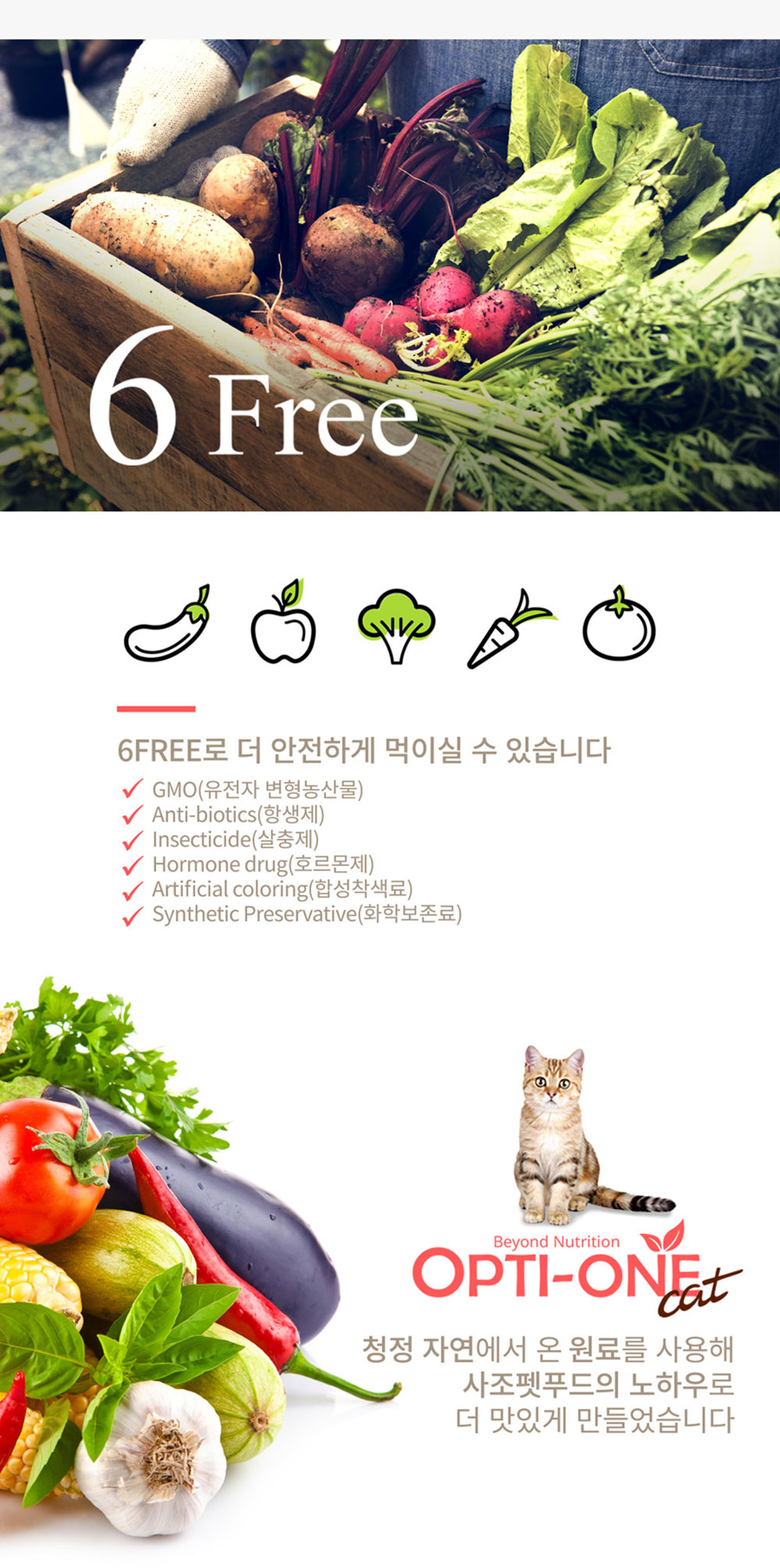 GA-22958 YEW_사조 옵티원 고양이사료 연어아마씨 5.6kg 상세 이미지 3