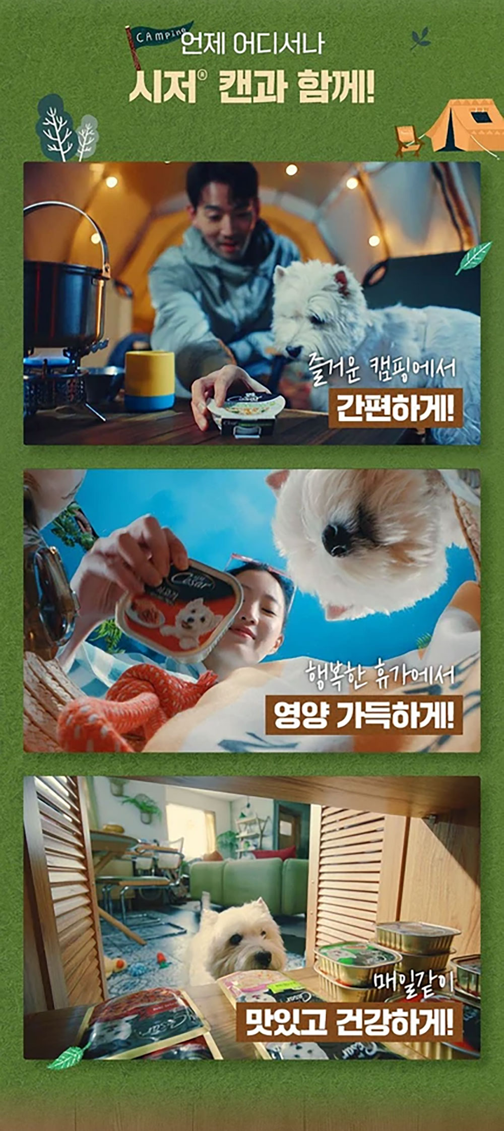 YEW_시저 쇠고기와 참치 캔 100g 상세 이미지 2