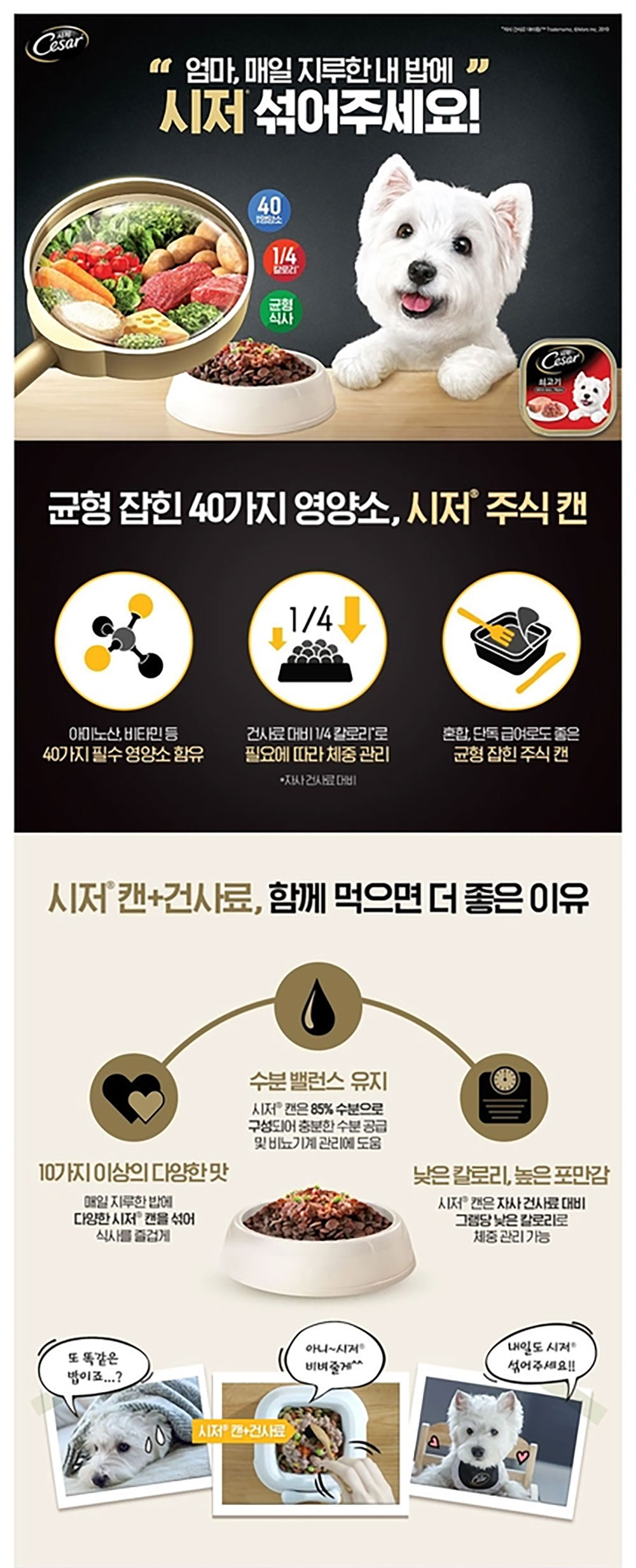 YEW_시저 11세이상 쇠고기 캔 100g 상세 이미지 1