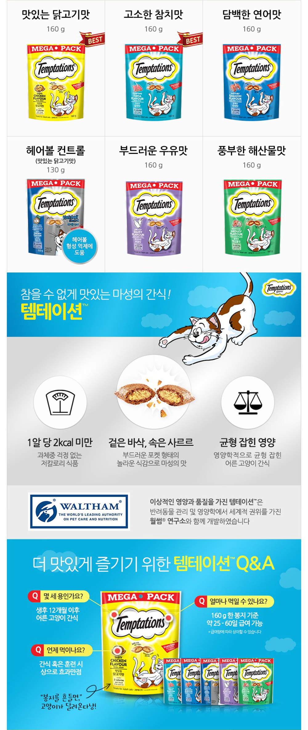 YEW_템테이션 고양이간식 담백한 연어맛 160g 상세 이미지 2