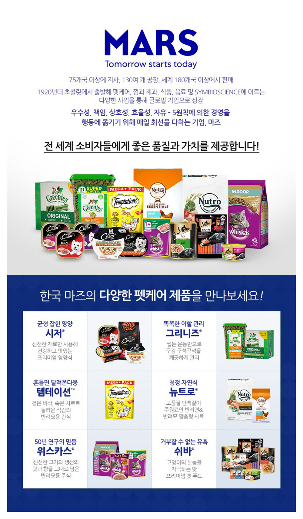 YEW_템테이션 고양이간식 담백한 연어맛 160g 상세 이미지 5