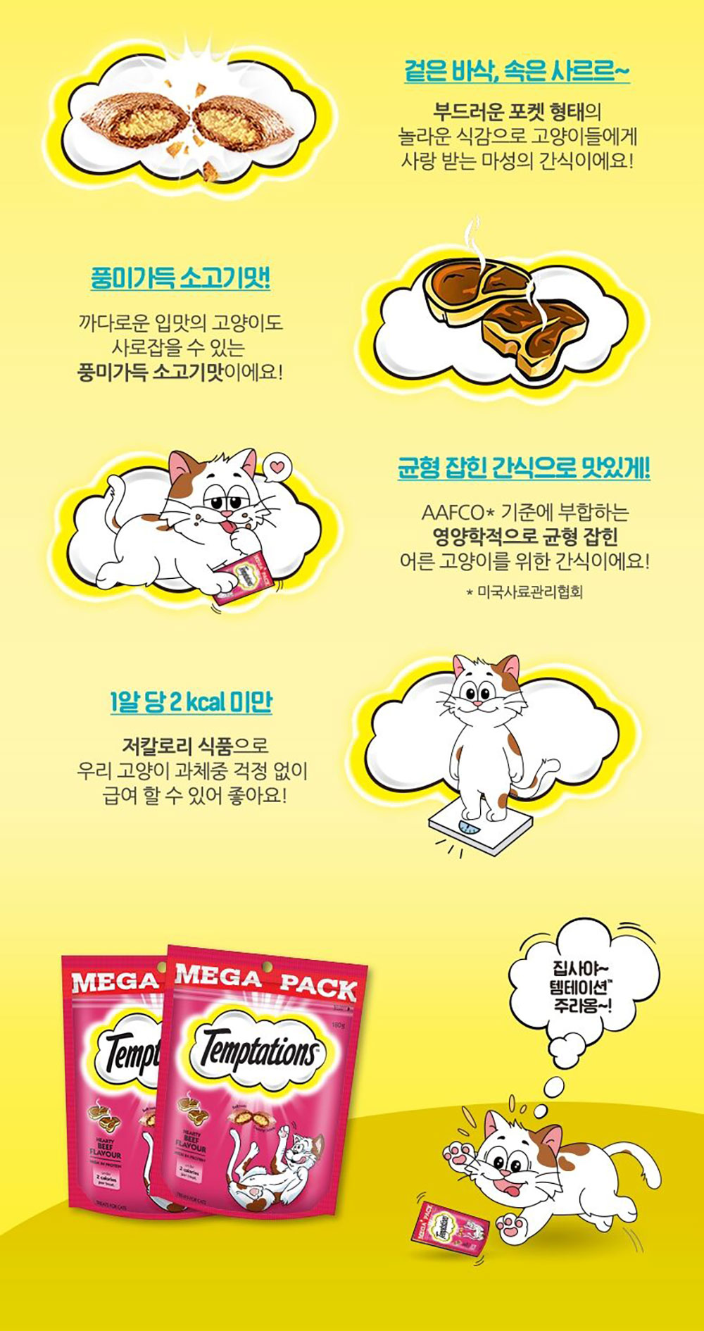 YEW_템테이션 고양이간식 소고기맛 180g 상세 이미지 2