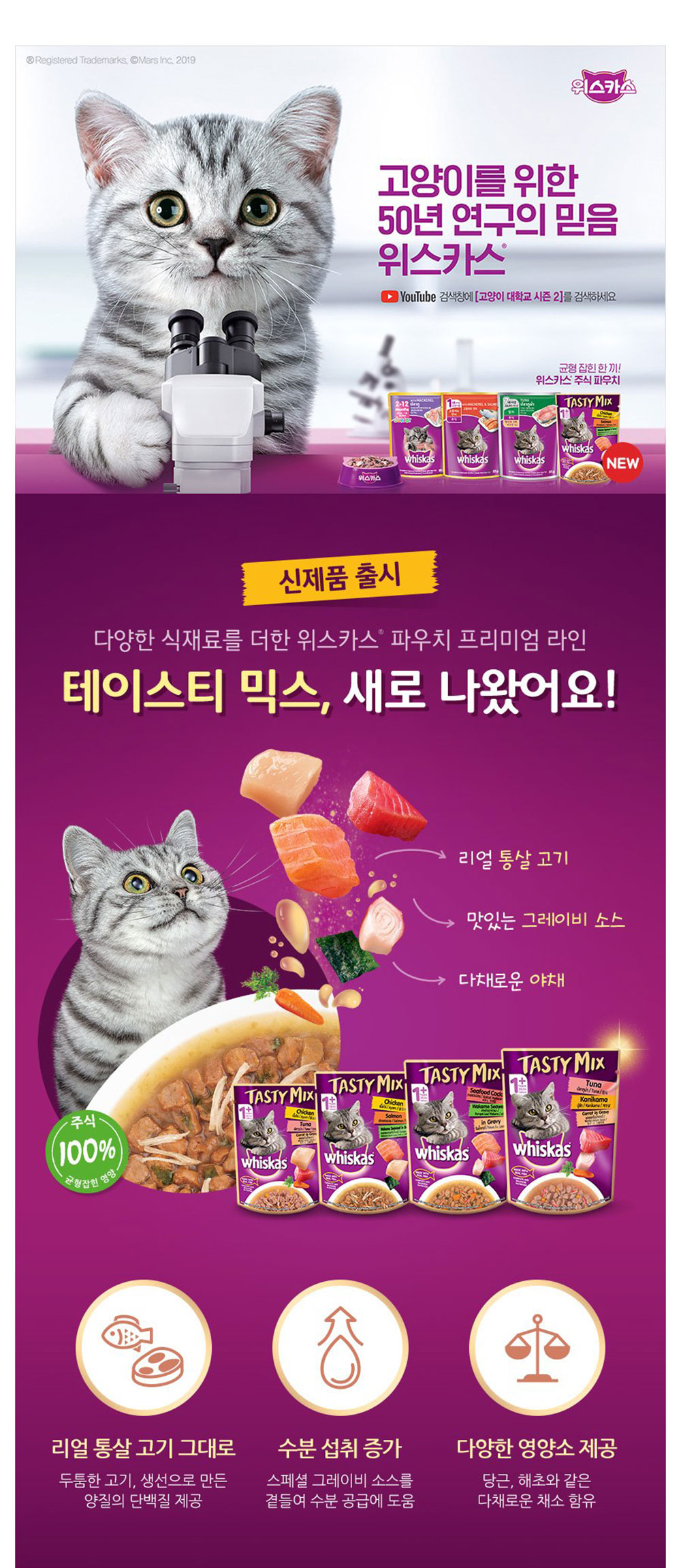 YEW_위스카스팩 고양이사료 주니어 고등어 80g 상세 이미지 1