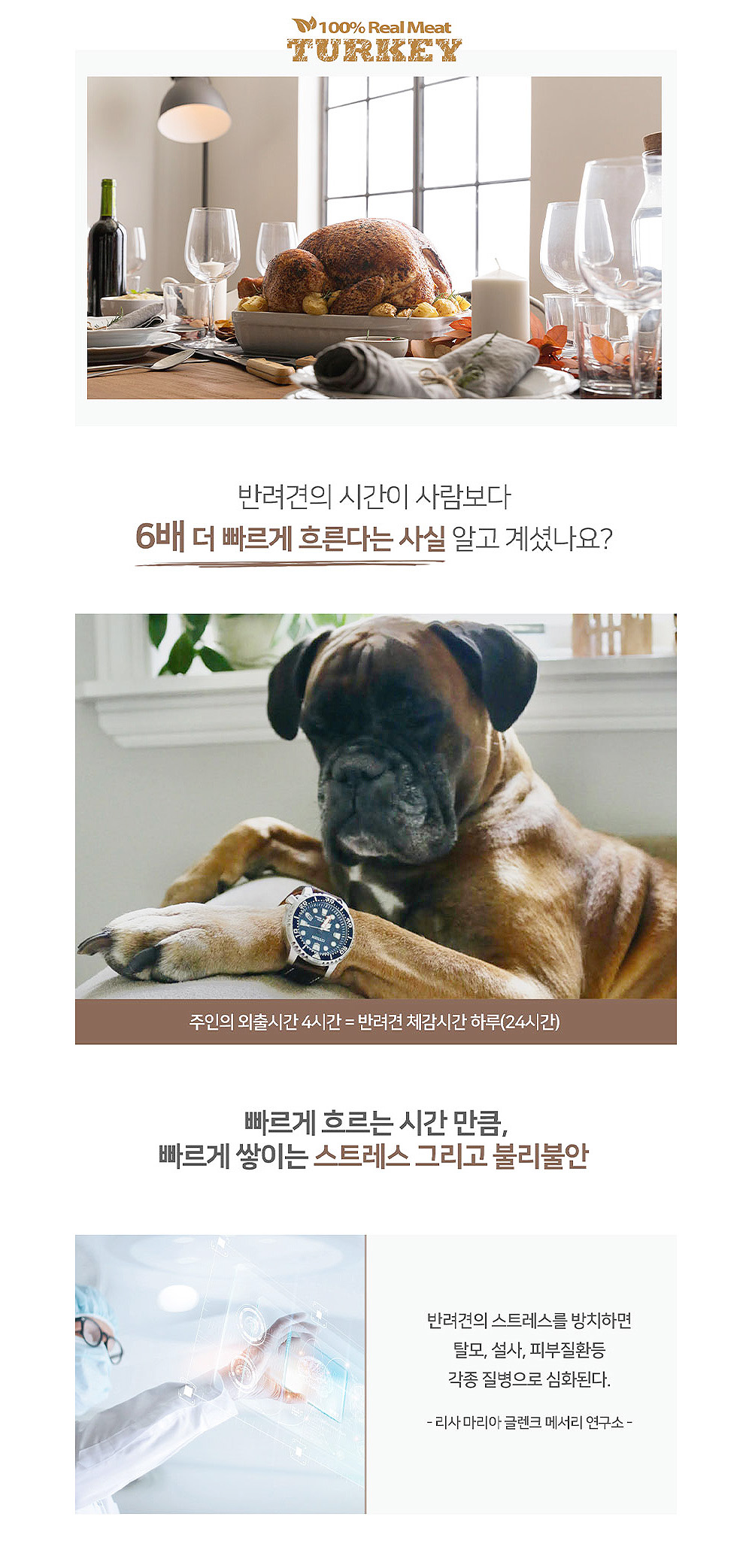 칠면조 힘줄링 10p 애견간식 애완동물간식 애완견간식 강아지간식 상세 이미지 2