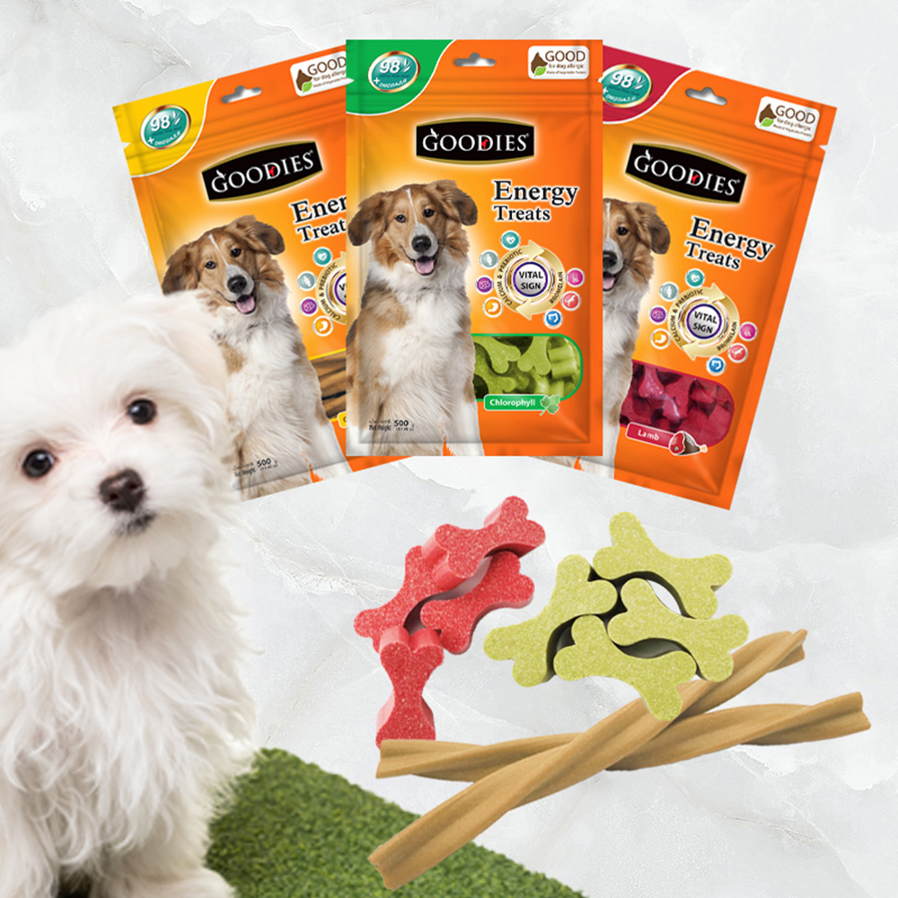 [인플셀러] YEW_GD개껌 에너지 트릿