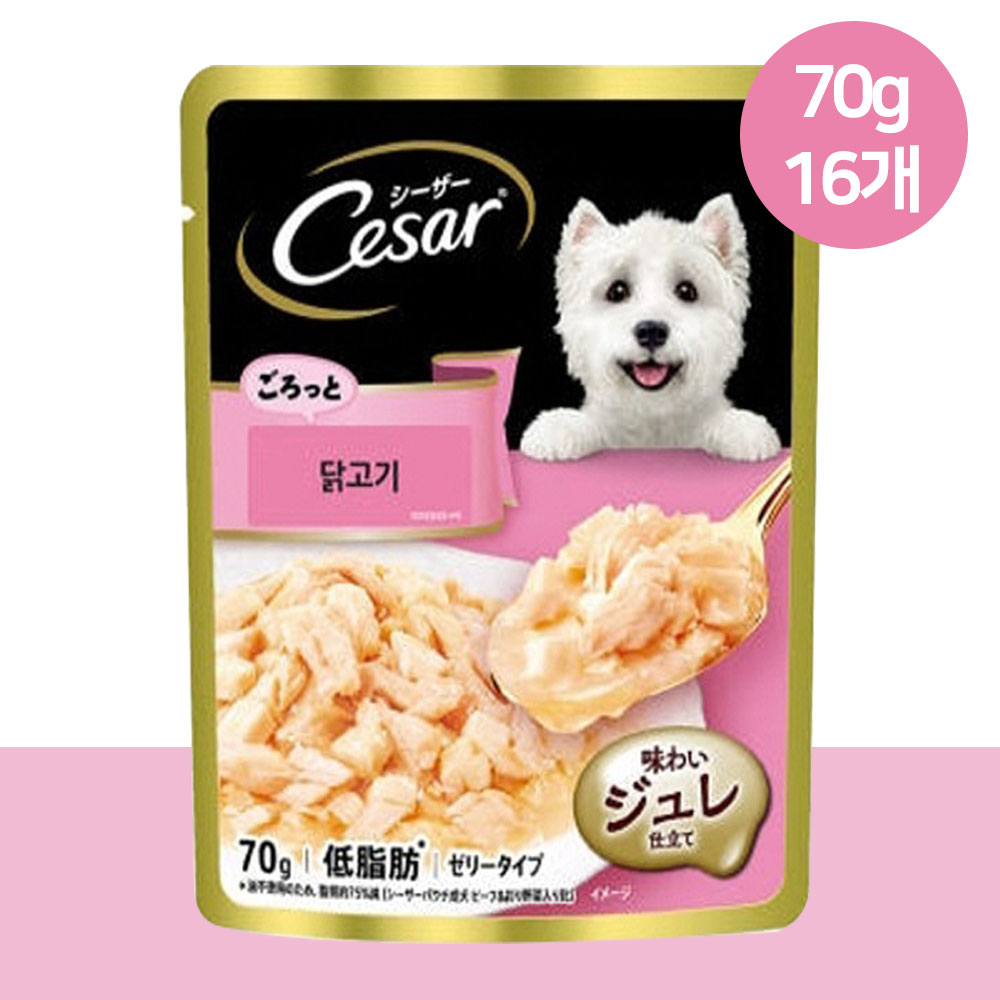 YEW_시저 파우치 닭고기 70g, 16개