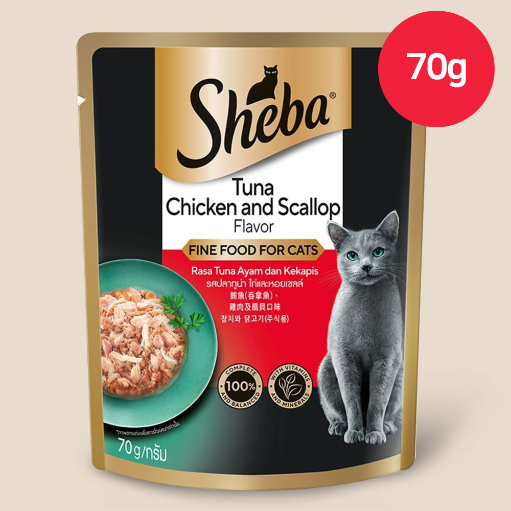 YEW_쉬바 파우치 고양이 주식 참치와 닭고기 70g